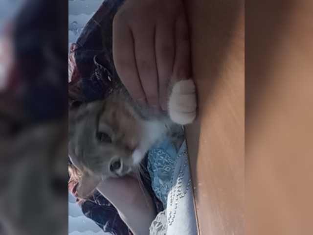 Broadcast screenshots 8Lilith8