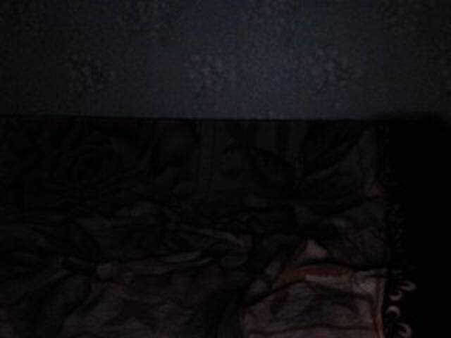 Broadcast screenshots AlinaBertie3