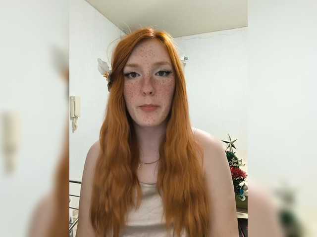 Broadcast screenshots AmaryllisFox