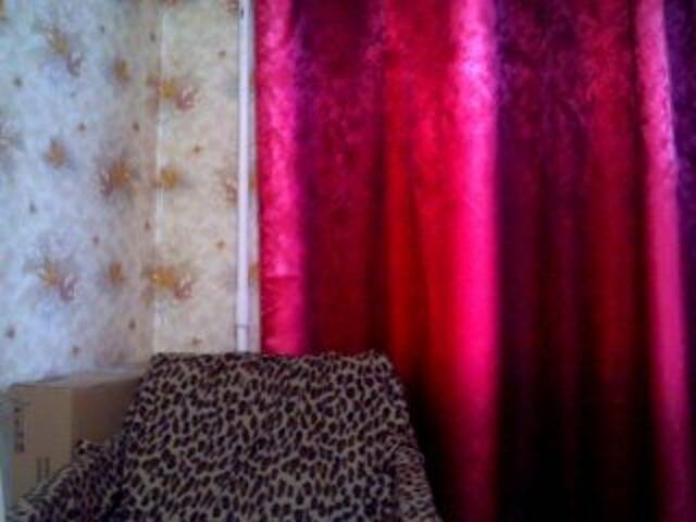 Broadcast screenshots _Amina_