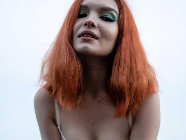 Photo of the profile Amorekitty