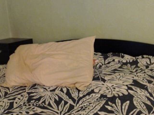 Broadcast screenshots Alissia_Kiss