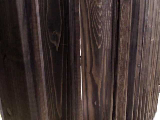 Broadcast screenshots AngelAndMisha