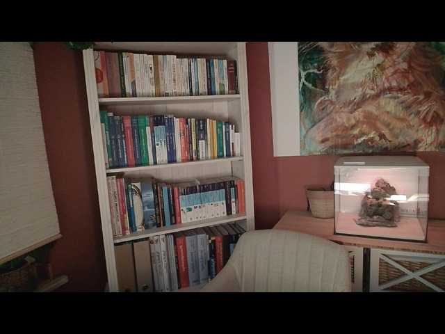 Broadcast screenshots AntoniaPur