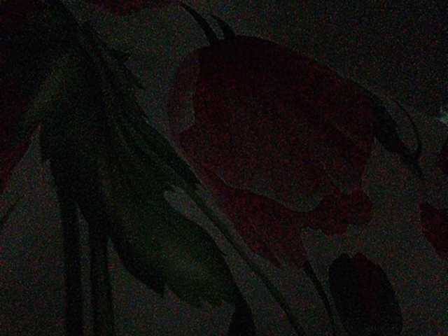 Broadcast screenshots Rosalia_____