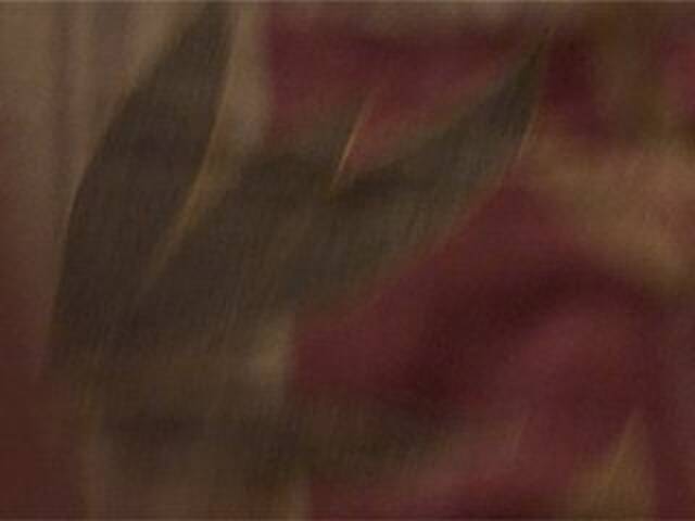 Broadcast screenshots AshaPM