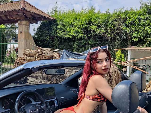 Photo of the profile badgaldann1