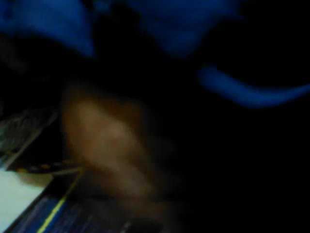 Broadcast screenshots BarbieBigTits