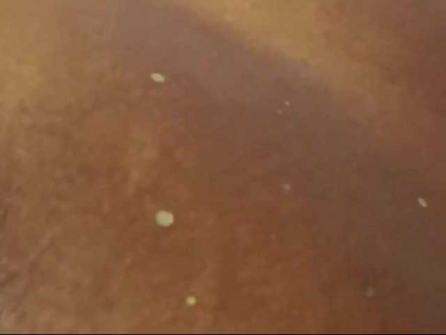 Broadcast screenshots BellaAvila