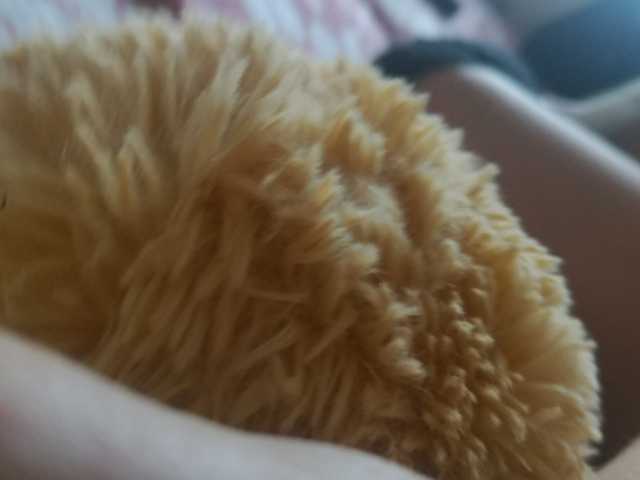 Broadcast screenshots bubaavrora999