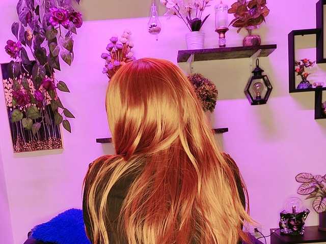 Photo of the profile carline