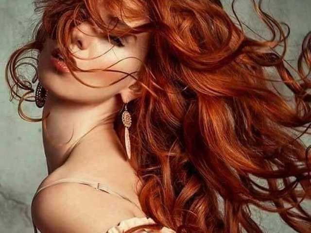 Photo of the profile Chanterelle