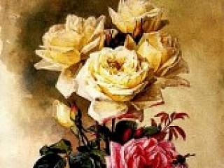 Erotic video chat cowtitts