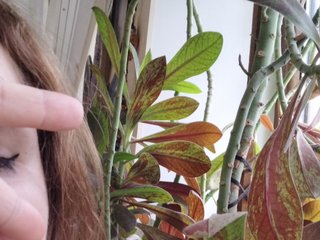 Erotic video chat Crazycouple8