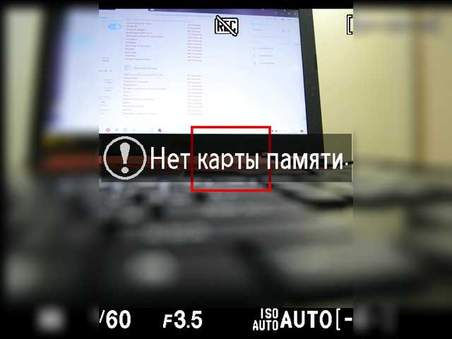 Broadcast screenshots CrazyBunnys