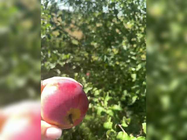 Broadcast screenshots SSaibaliii