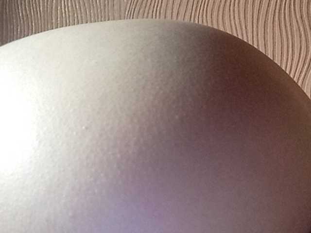 Broadcast screenshots Darinaray777