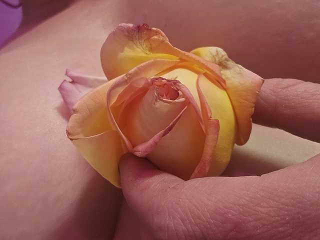 Photo of the profile Delicious-Dahlia