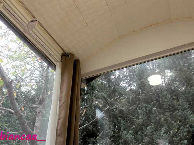 Broadcast screenshots Denise-Quinn