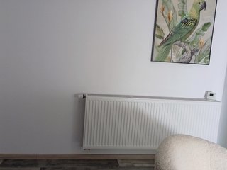 Erotic video chat Deidi_sweet