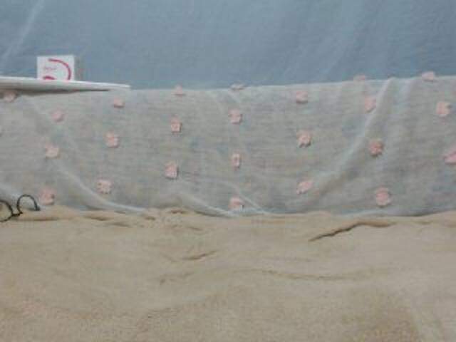 Broadcast screenshots DonnaWildJoyy