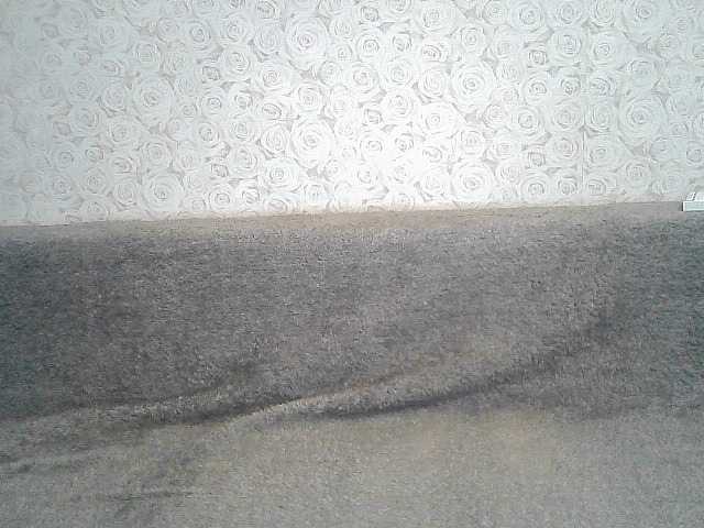 Broadcast screenshots ElegantBlonda