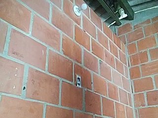 Erotic video chat EmiliAddams