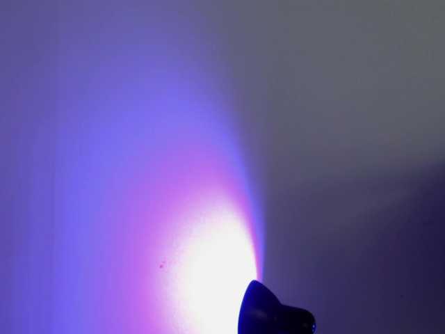 Broadcast screenshots evangelingtor