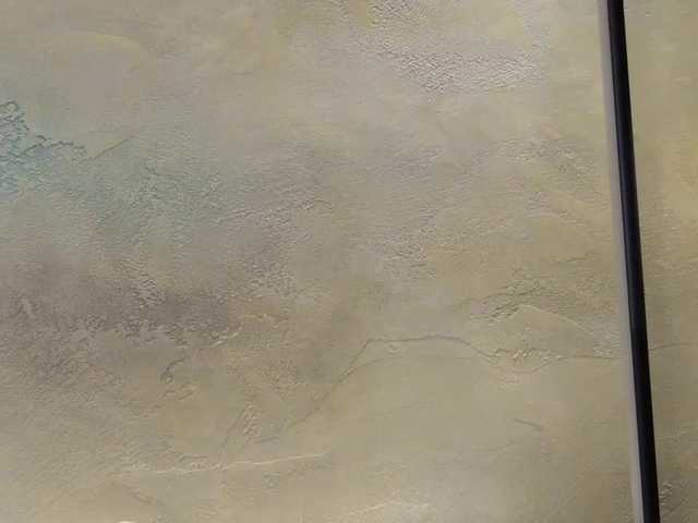 Broadcast screenshots EvieRose