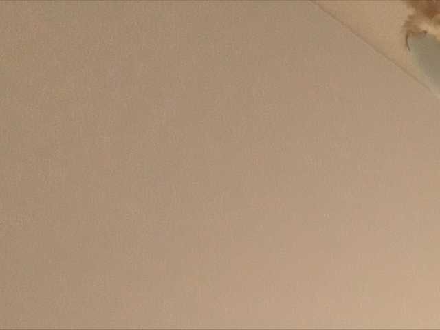 Broadcast screenshots fibi8590