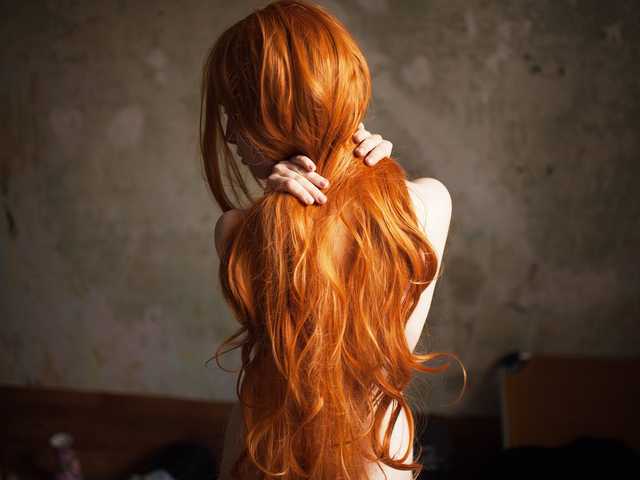 Photo of the profile fieryfox