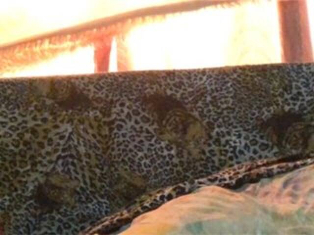 Broadcast screenshots Grappa01