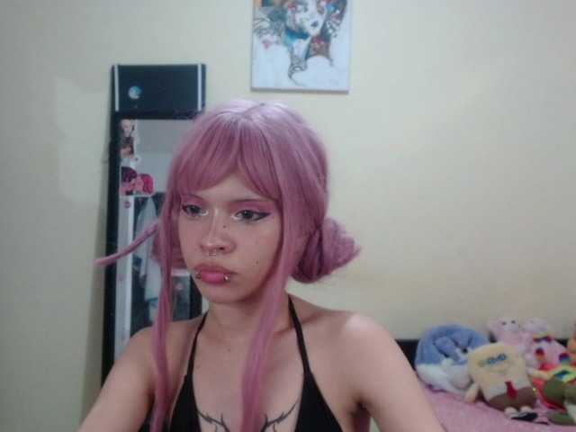 Photo of the profile hachi-kitty