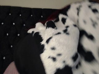 Erotic video chat Hornyrata