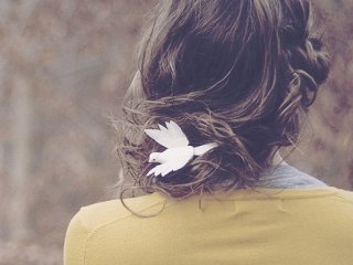 Photo of the profile illymaus