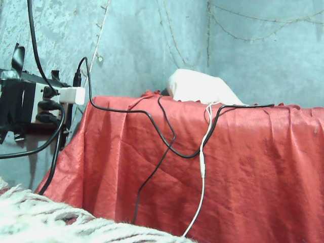 Broadcast screenshots isisaenz