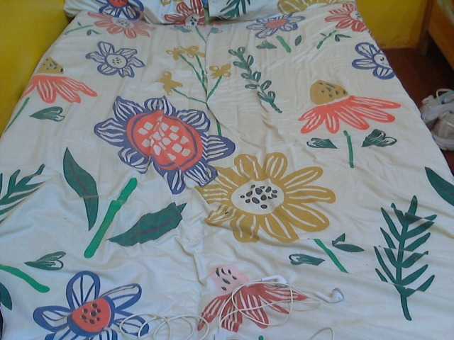 Broadcast screenshots JudySexy