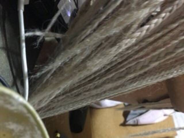 Broadcast screenshots kataleya13