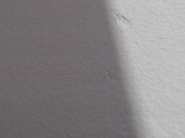 Broadcast screenshots Katithompson