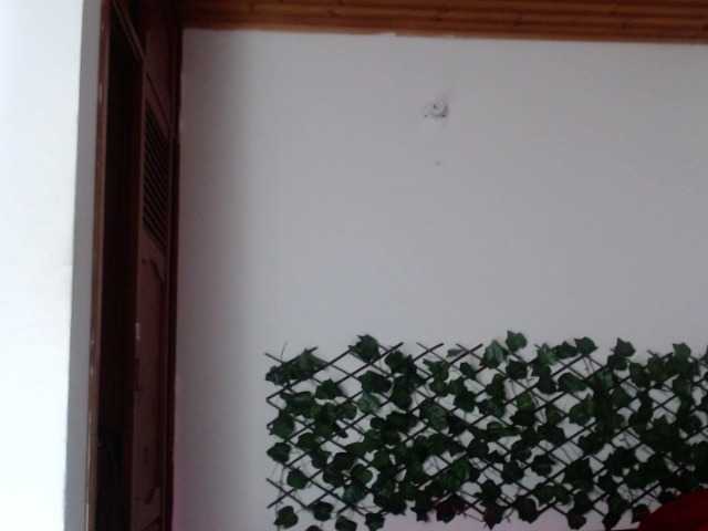 Broadcast screenshots Keilly-