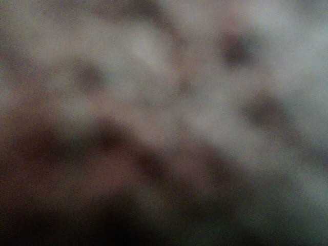 Broadcast screenshots Kendal212