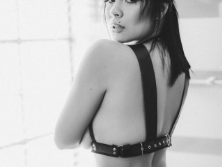 Photo of the profile LaurenDallas