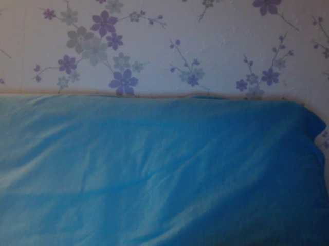 Broadcast screenshots littledevi