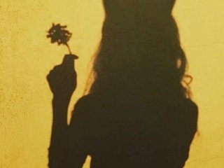 Photo of the profile Fiery_Phoenix