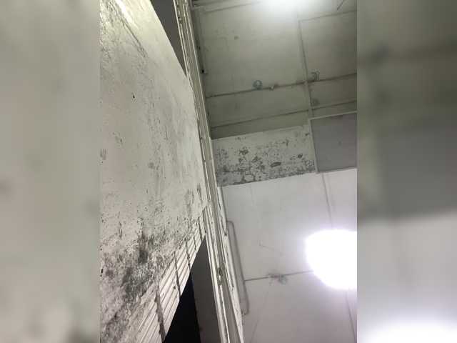 Broadcast screenshots Lolipops69
