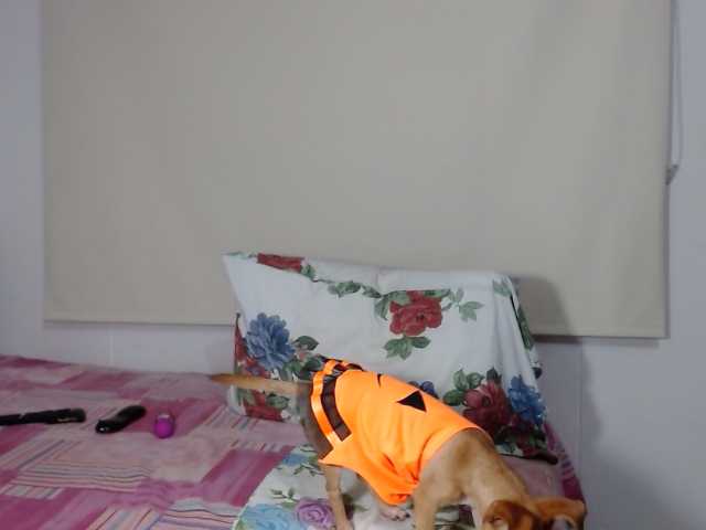 Broadcast screenshots LucyPalma