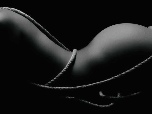 Photo of the profile majoloverroll