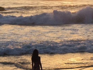 Erotic video chat PLEELUS