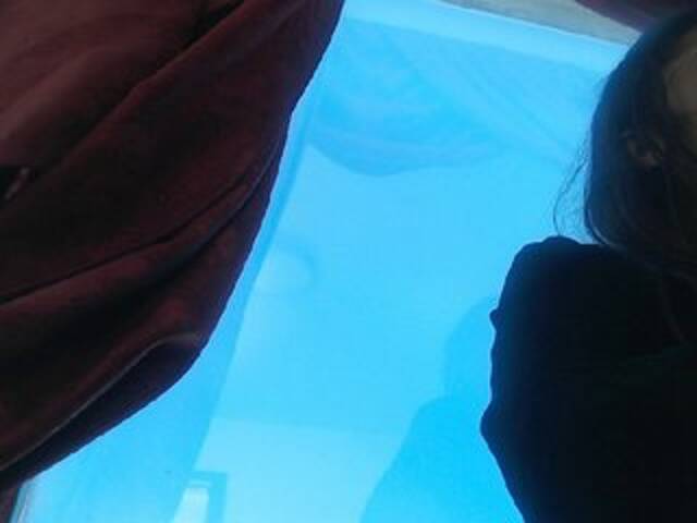 Broadcast screenshots melany_issa