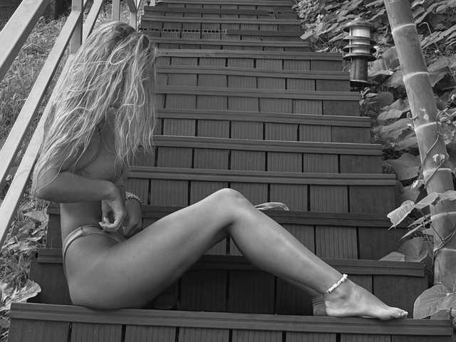 Photo of the profile Lynx